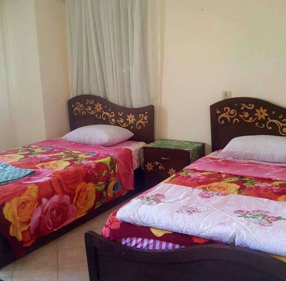 My Home Hostel 沙姆沙伊赫 外观 照片